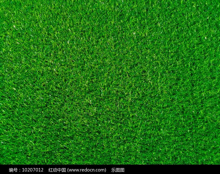 2026年世界杯：如何用“黑科技”草皮解决场地难题？(图1)