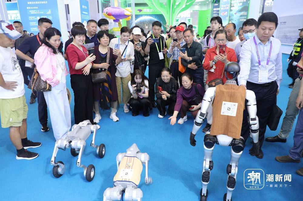 消博会今天闭幕 浙江企业带来科技消费新体验(图1)