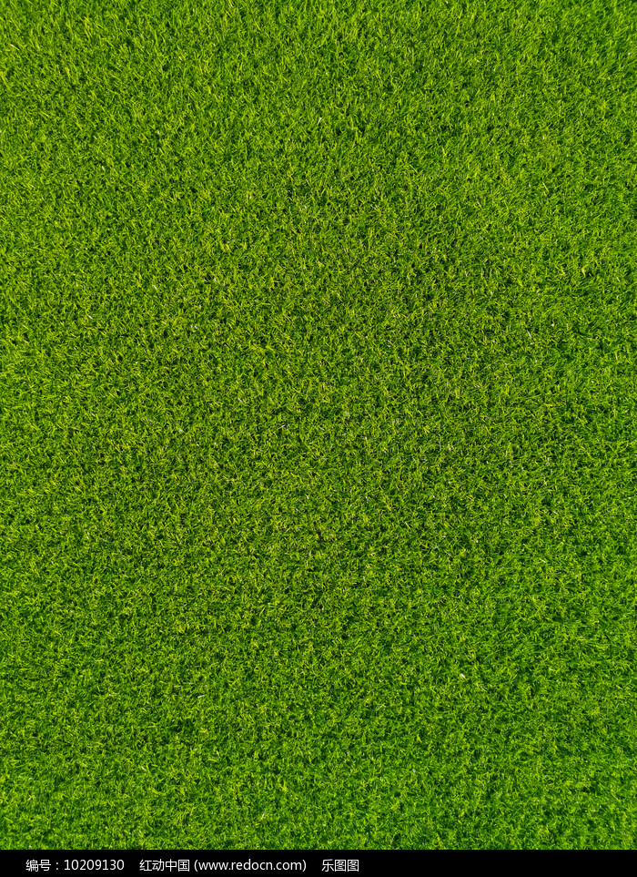 人造草坪是一种新型的草坪材料-新闻动态-温州绿之洲人造有限公司人工幼儿园足球场仿真皮生产厂家价格-厂家(图1)