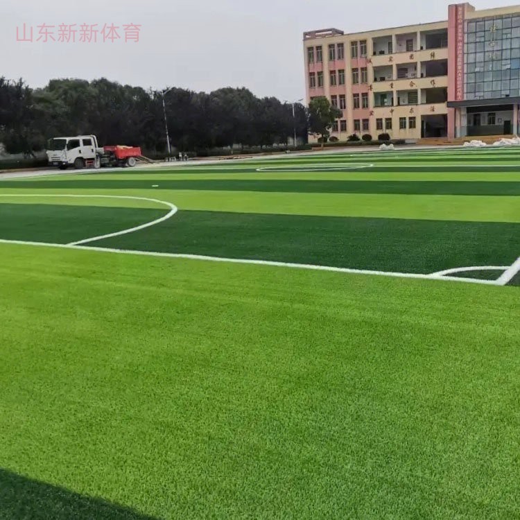 英派斯：智能+场景创新破冰 用冷资源撬动冰雪经济新动能(图1)