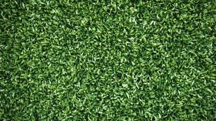 博德闪耀人工草皮主场豪取8连胜盘点各大豪门非专业草皮比赛翻车案例(图1)