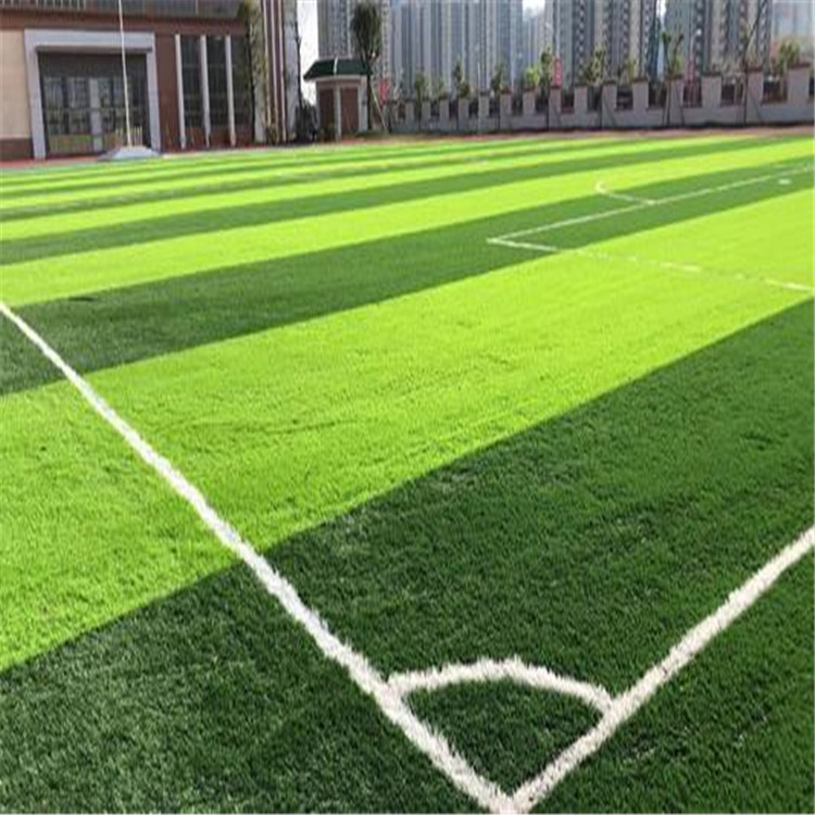 国足出线：等待奇迹还是直面荒漠？(图1)