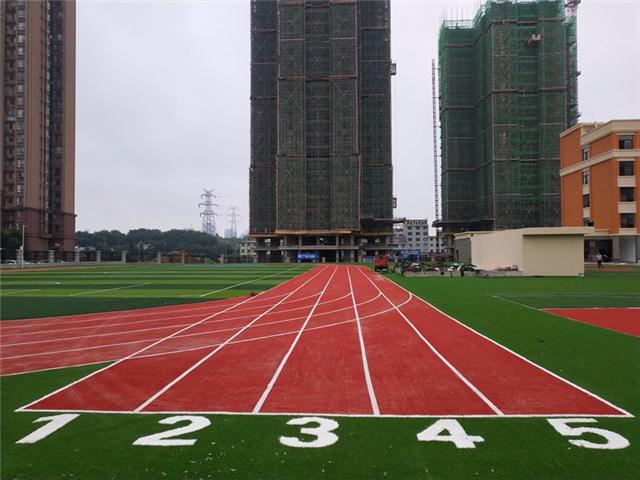 【推荐】人造草坪的参数价格及具体铺装场地的应用（一）(图1)