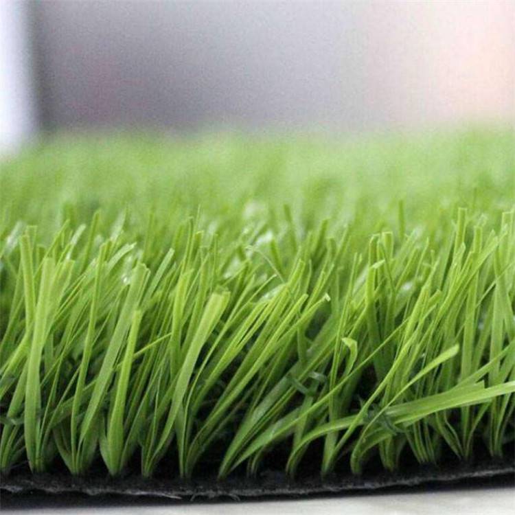 共创草坪： 关于2024年股票期权与限制性股票激励计划部分期权注销完成的公告(图1)