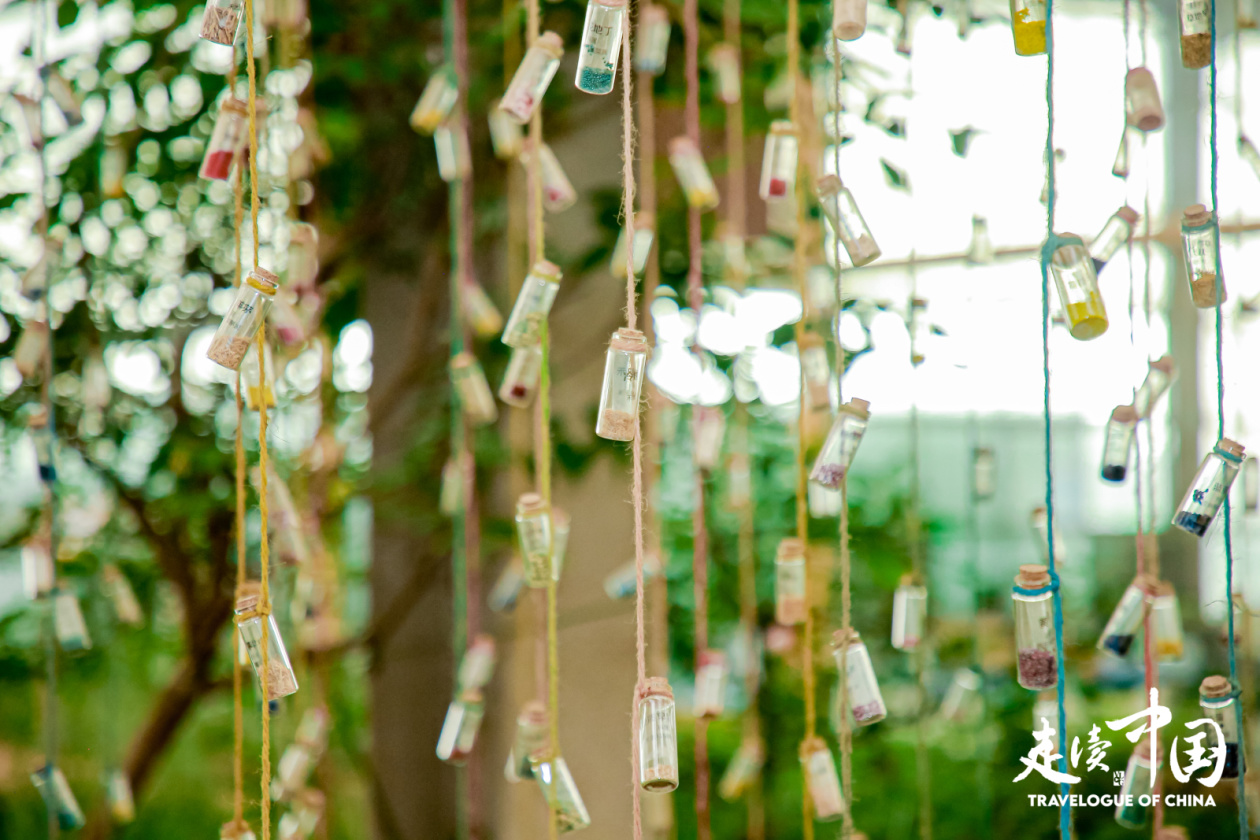 从“种子方舟”到生态修复奇迹 外国记者在中国被狠狠“种草”(图3)