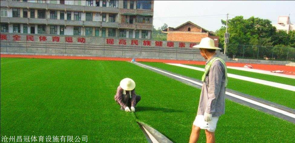 人造草坪厂家足球场专用草坪(图1)
