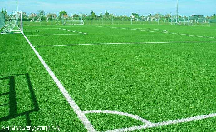 人造草坪厂家足球场专用草坪(图3)