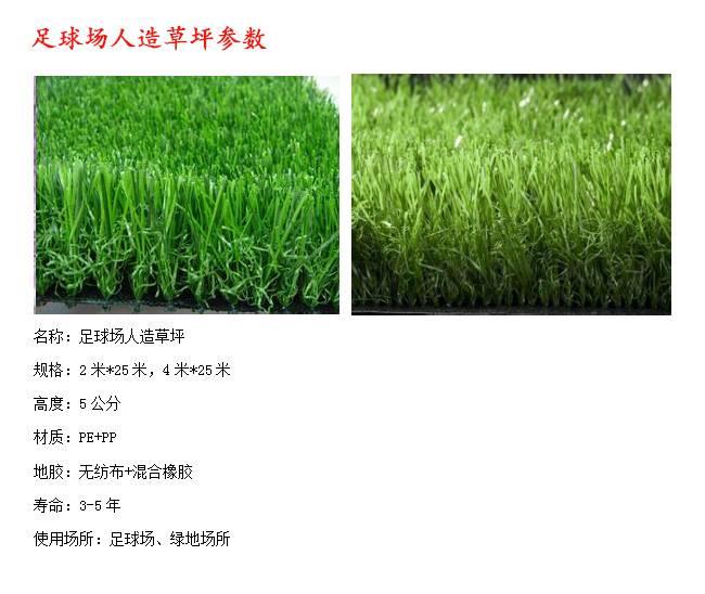人造草坪生产厂家出厂价(图2)