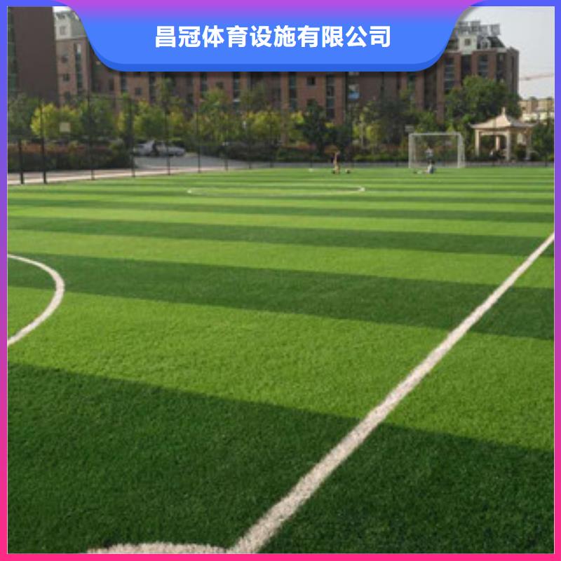 2025年Q1体育设施及器材上市企业财报盘点(图1)