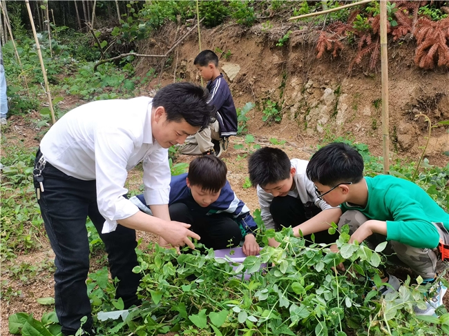 储燎原：高山安可仰徒此揖清芬(图4)