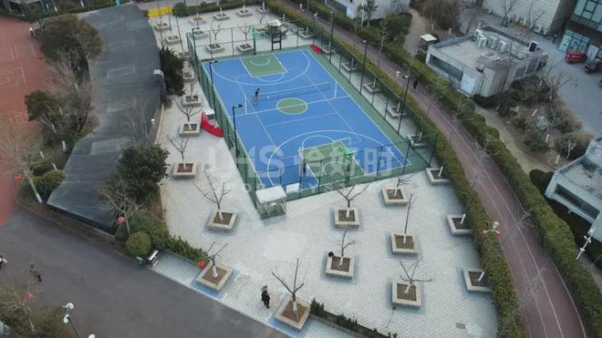 篮球场建设标准：打造卓越运动场地(图1)