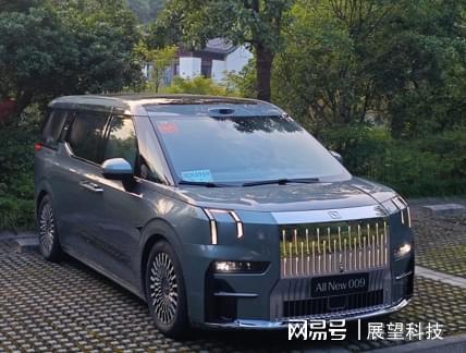 国产高端MPV持续发力四款车型刷新市场认知(图13)