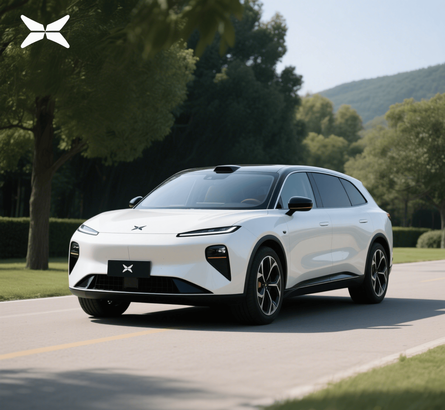 2025 款小鹏 X9 竞品分析：于竞争中彰显独特魅力(图1)