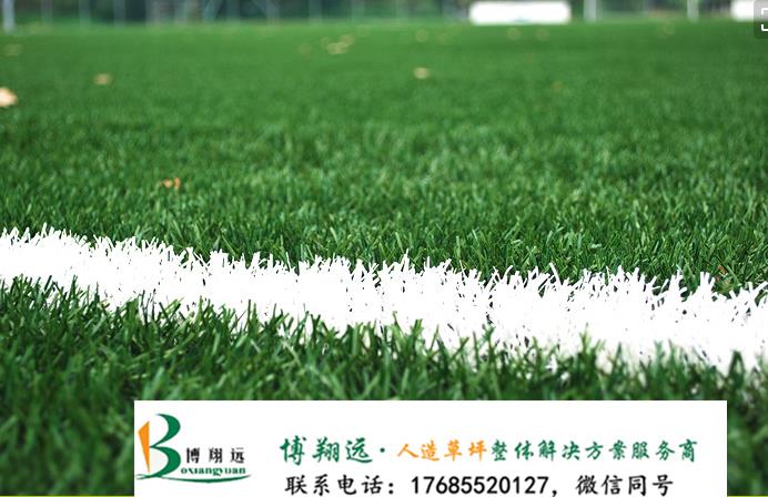硅PU篮球场-搜索结果-乐久网络精选商家(图1)