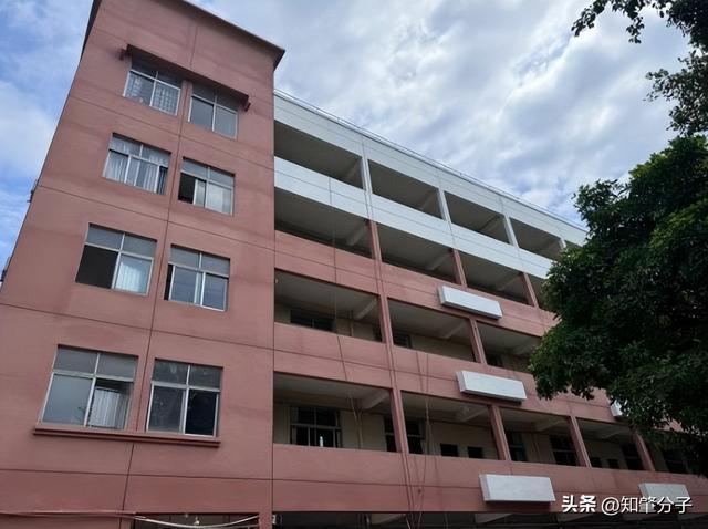 实景图来袭！肇庆这些学校“大变身”！(图3)
