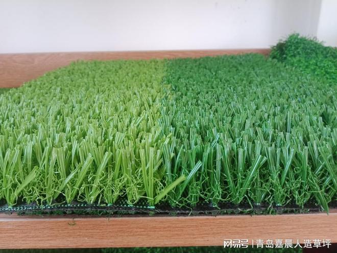 免填充足球场人造草坪的参数和价格(图1)