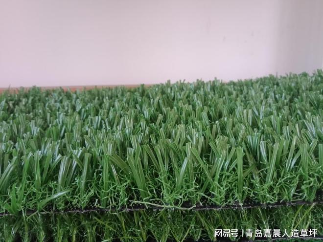 免填充足球场人造草坪的参数和价格(图2)