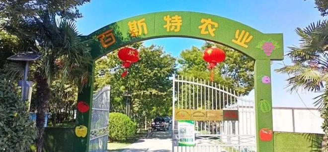 淮安低调王氏兄弟硬控国内两大产业(图4)