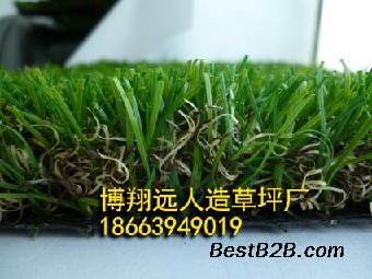 共创草坪：人造草坪市场全覆盖助力中国足球崛起(图1)