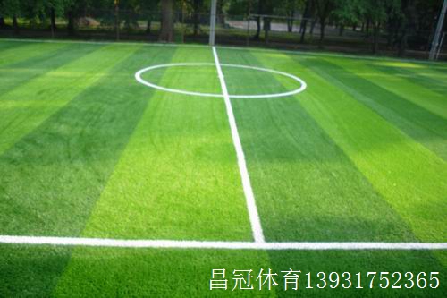 人造草坪厂家批发(图1)