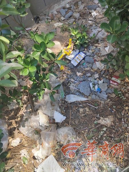 小8跑街丨西安南二环金水路口绿化带垃圾长期未清(图1)