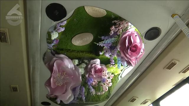 昆明“森呼吸”双层观光巴士开行途经多个打卡点！票价→(图6)