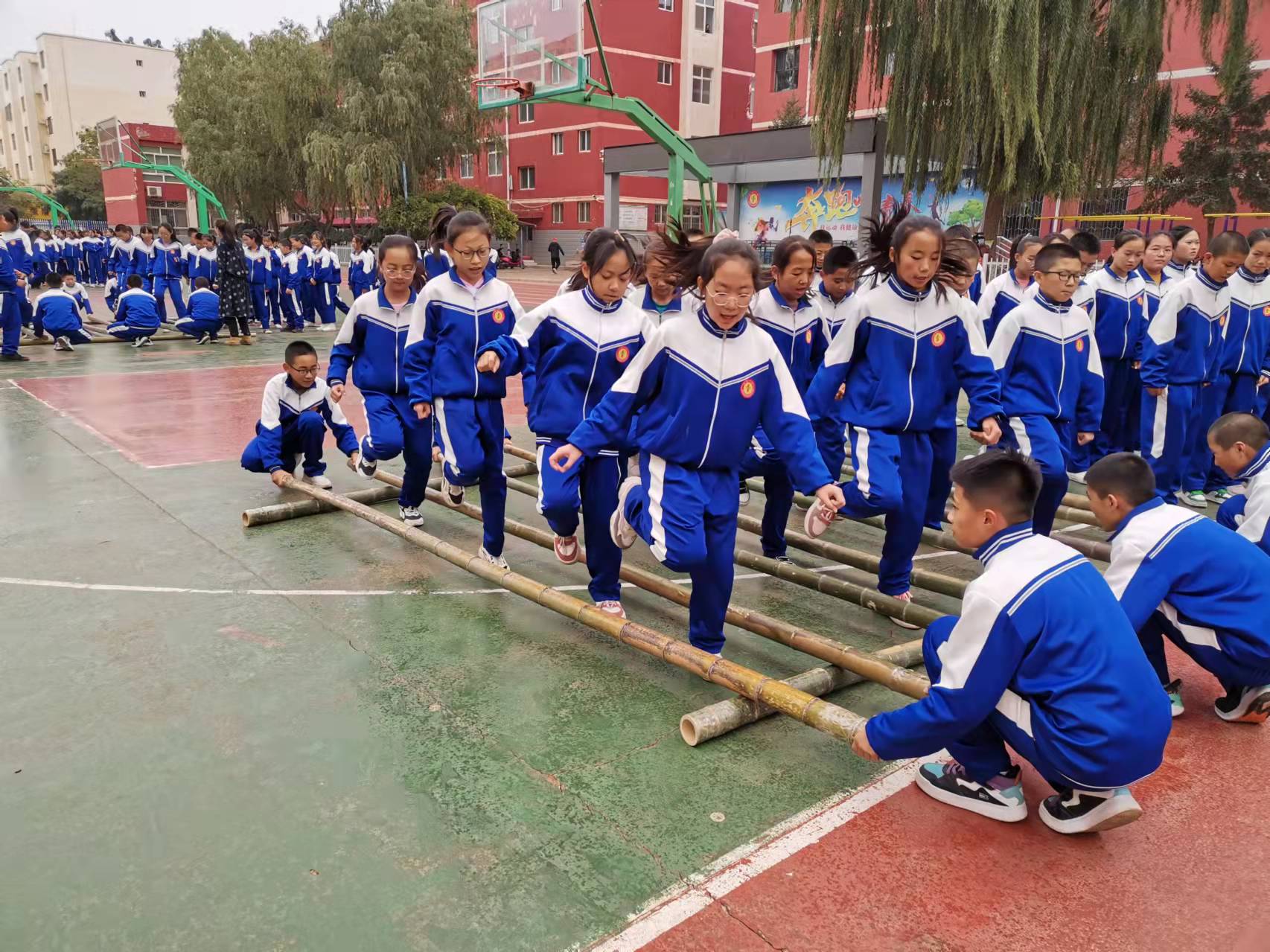 一注公益的种子让沙坡头区交出高分体育答卷(图4)