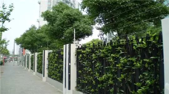 党建引领物业治理④ 从“忧居”到“优居”看30年老小区如何用“红色钥匙”开启社区治理新篇章(图1)