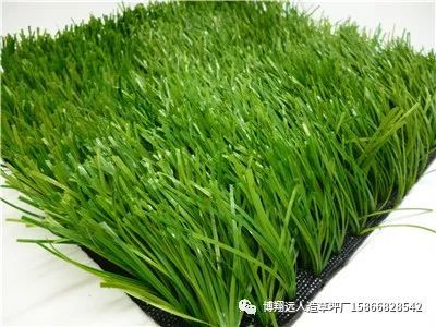 人工草坪每平方米价格(图1)