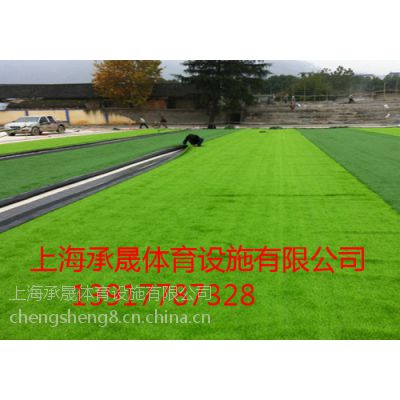 景观绿化人造草坪公司黄页(图1)