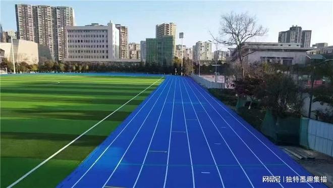 2025 塑胶跑道厂家推荐玉峰体育自有施工团队规范流程省心(图2)