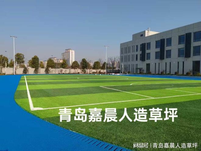 50mm人造草坪：性能优越的专业运动场地首选(图5)