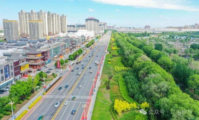 巧手修剪扮靓城区“妆容”！兴隆台区对主街主路开展绿植养护(图1)