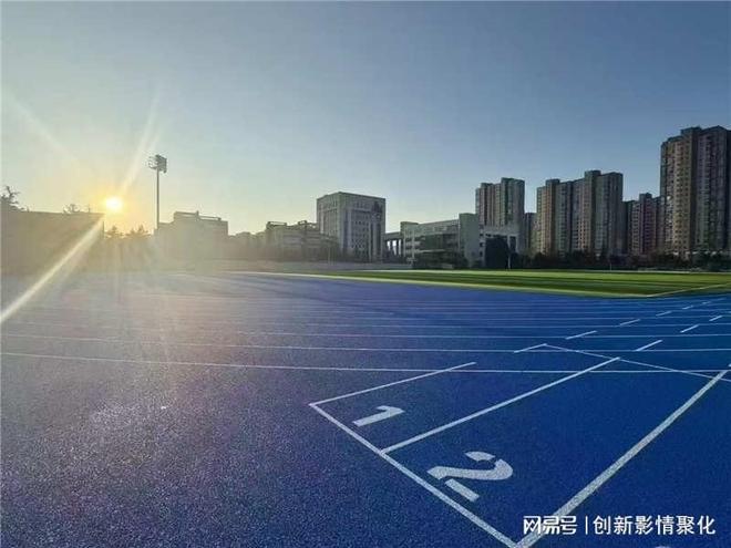 2025 塑胶跑道生产厂家 TOP10 名录聚焦材料达标、施工精细(图3)