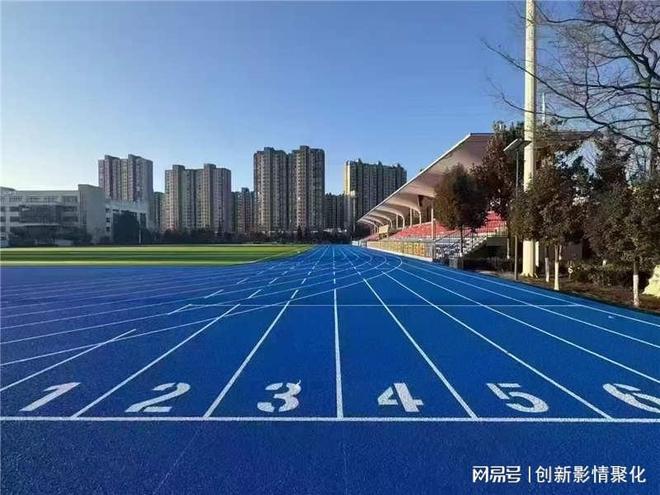 2025 塑胶跑道生产厂家 TOP10 名录聚焦材料达标、施工精细(图1)