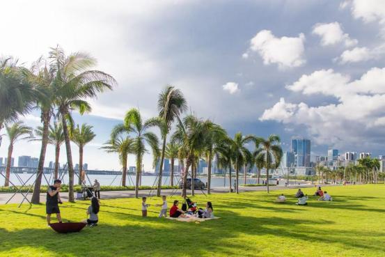 前海石公园桂湾段滨海岸线焕新升级！新增巨型沙池、星空草坪网友热议“深圳滨海休闲新地标”(图5)