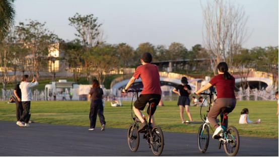 前海石公园桂湾段滨海岸线焕新升级！新增巨型沙池、星空草坪网友热议“深圳滨海休闲新地标”(图4)