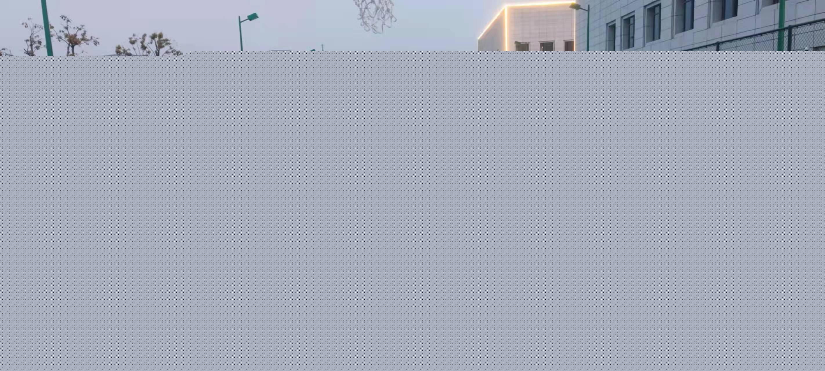 市场皮革种类大盘点丨有机硅皮革性能独树一帜(图1)