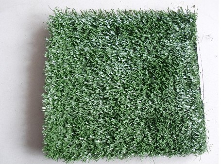 股票行情快报：共创草坪（605099）9月5日主力资金净买入16793万元(图1)