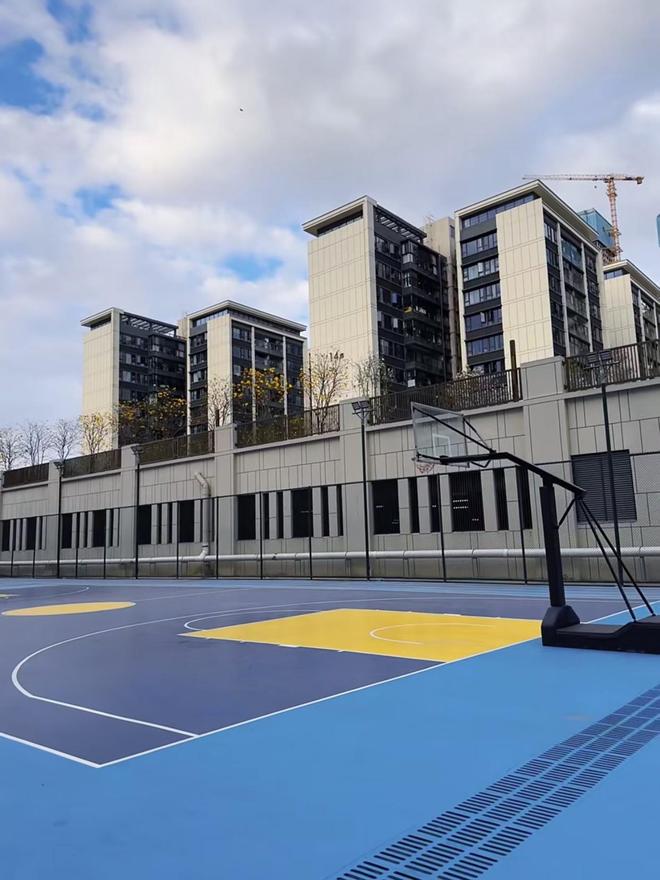 学校选择硅PU篮球场的三大理由(图3)