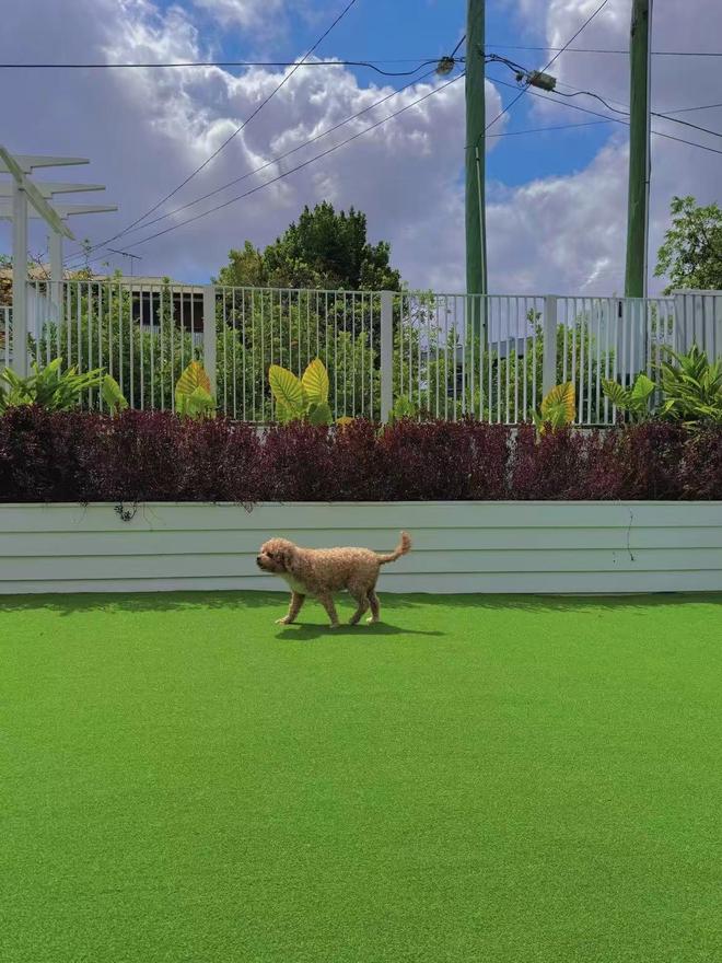 人造草坪施工流程全解析(图2)