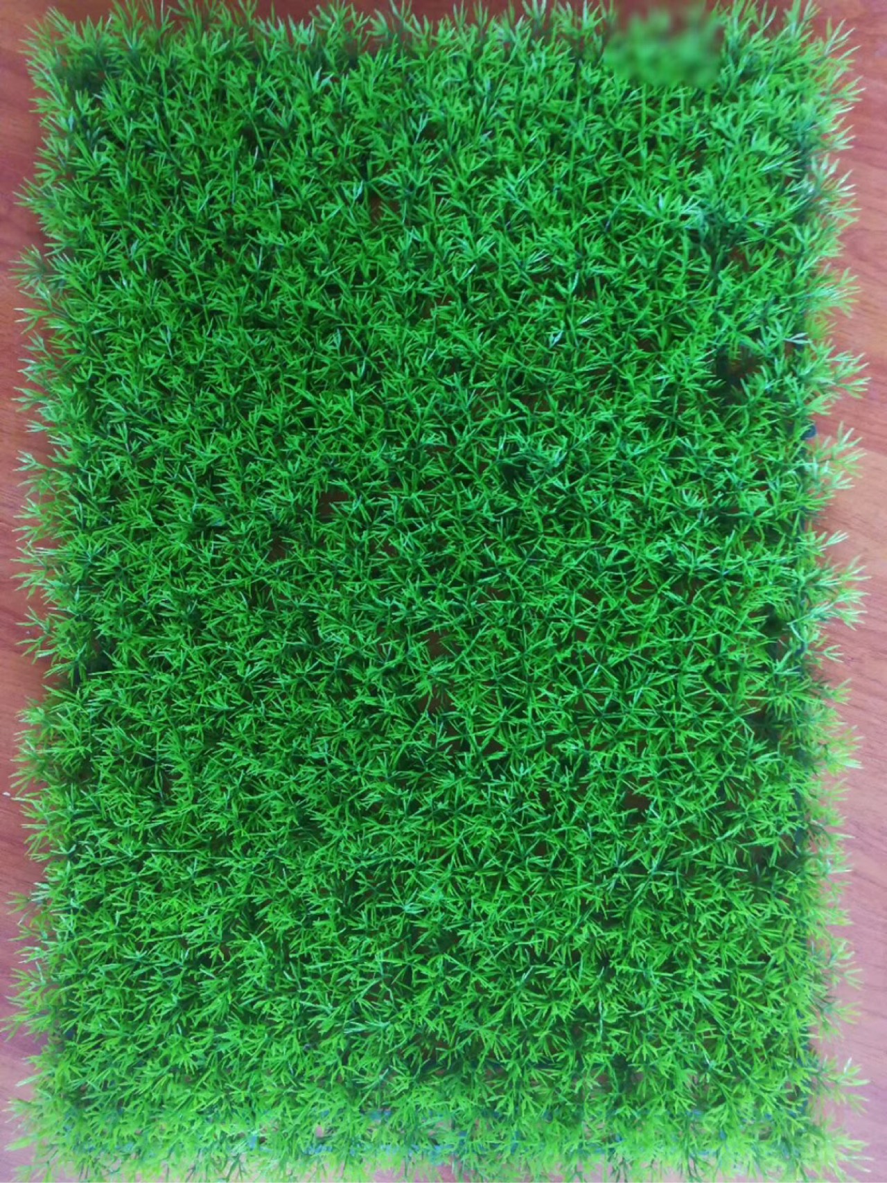 2025@保利虹桥和著售楼处电话→保利虹桥和著售楼中心电话→楼盘百科→首页网站→楼盘测评→中心百科→首页网站→24小时热线(图1)