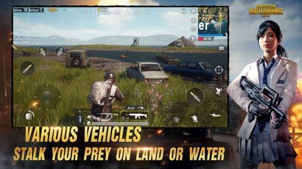 PUBG Mobile LITE(图1)