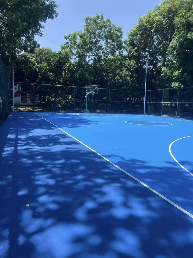 8mm硅PU篮球场详细解析(图1)
