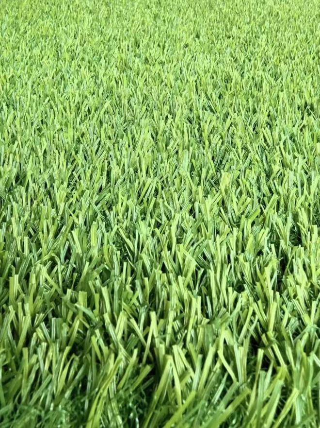 人造草坪需要浇水吗？(图1)