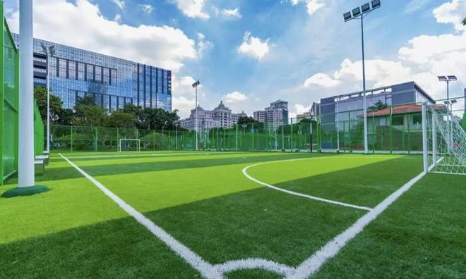 火眼金睛！教你评判足球场人造草坪好坏(图3)