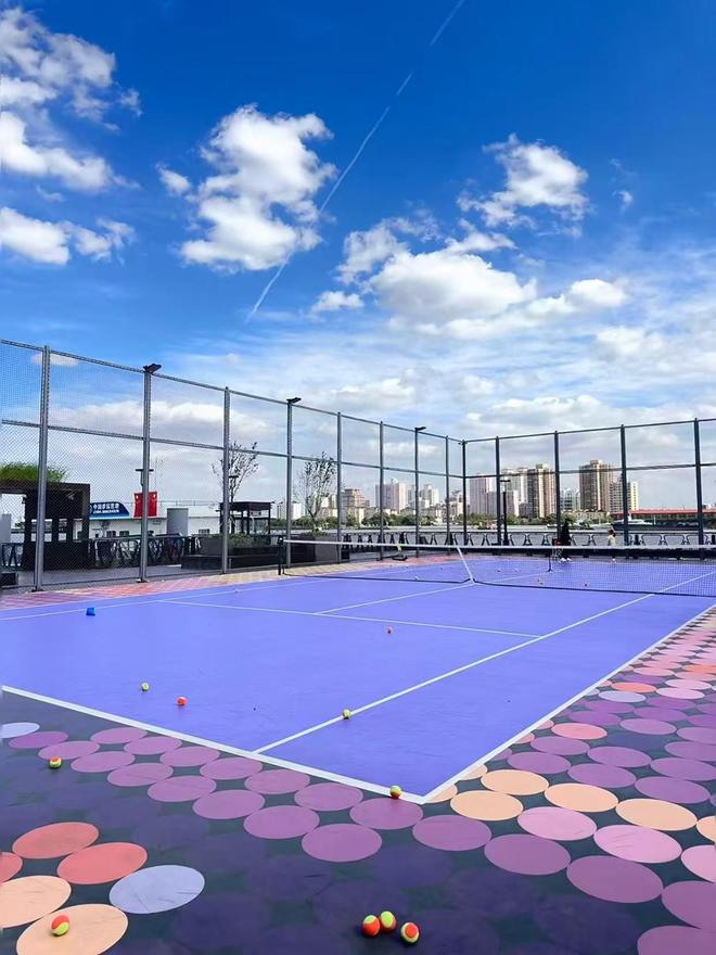 选择硅pu球场材料的5大关键指标(图2)