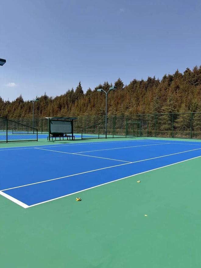 选择硅pu球场材料的5大关键指标(图3)