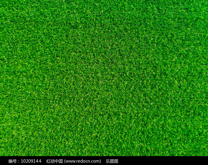 共创草坪涨203%成交额128亿元主力资金净流出156160万元(图1)