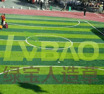 扬州绿宝人造草坪有限公司(图3)